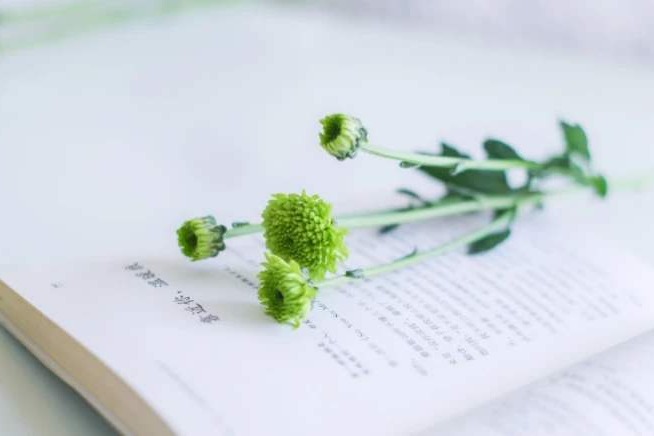 1586243830645988.png 640.png